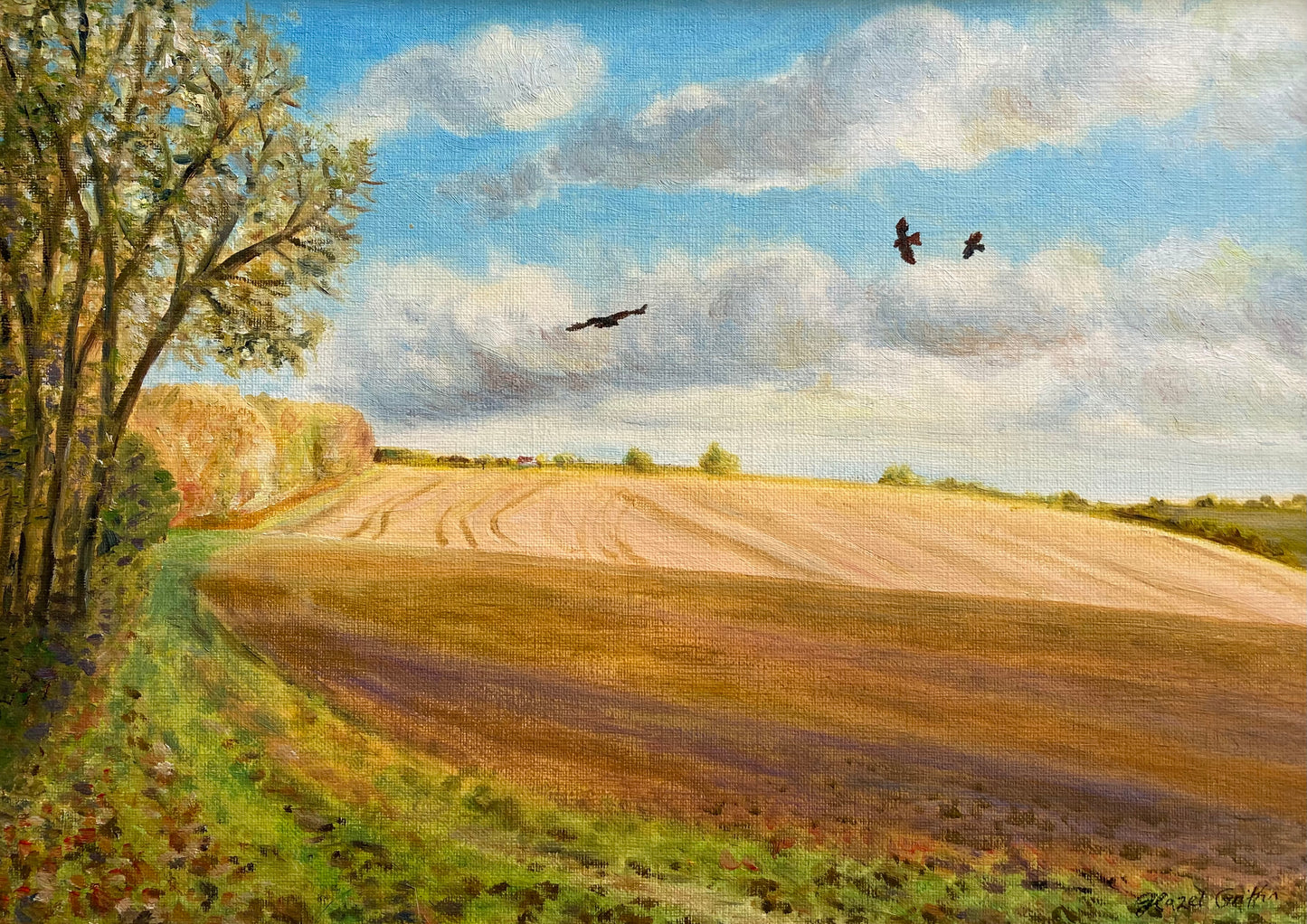 Flight Over Amber Fields