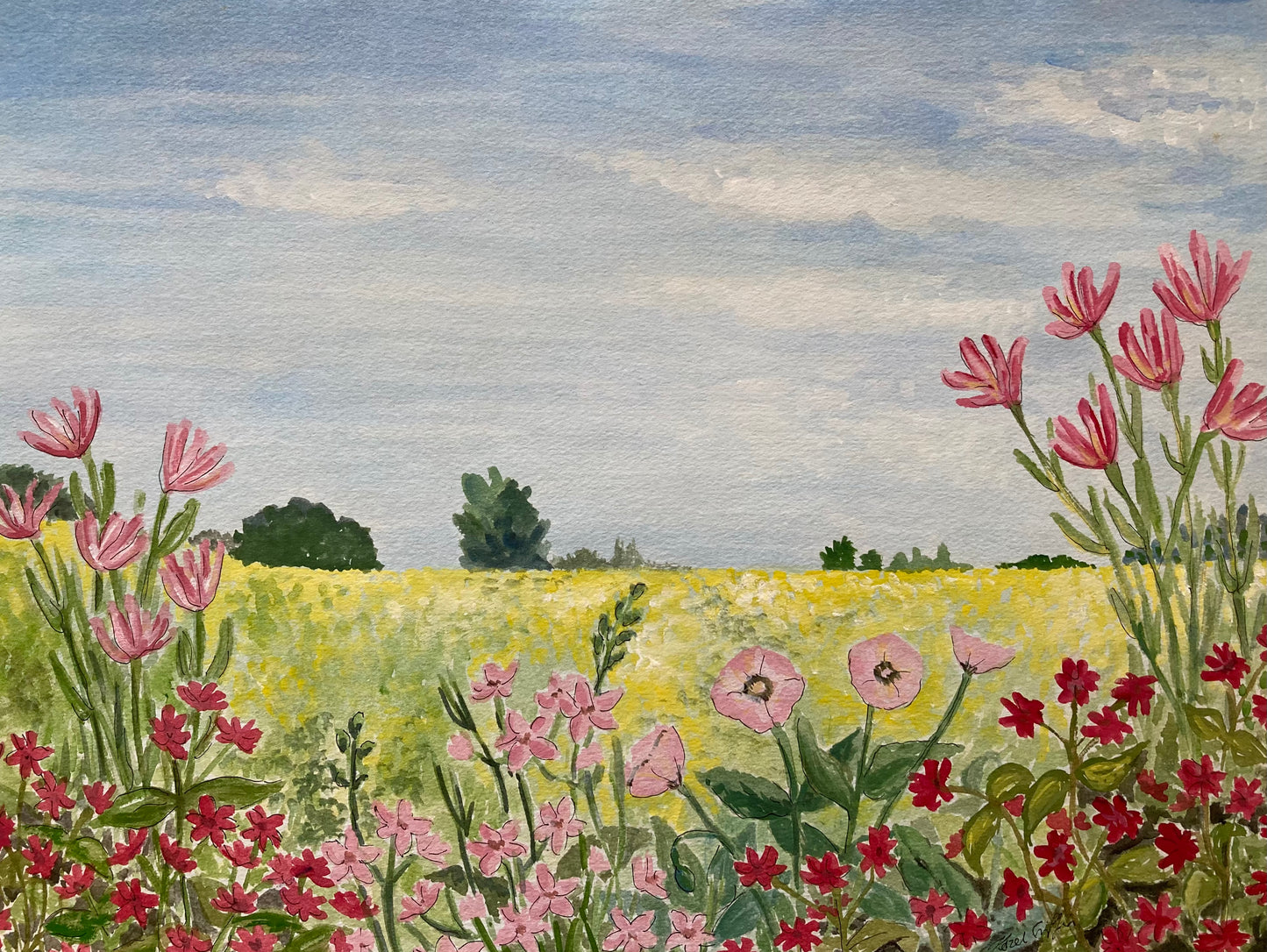 Through the Flowers