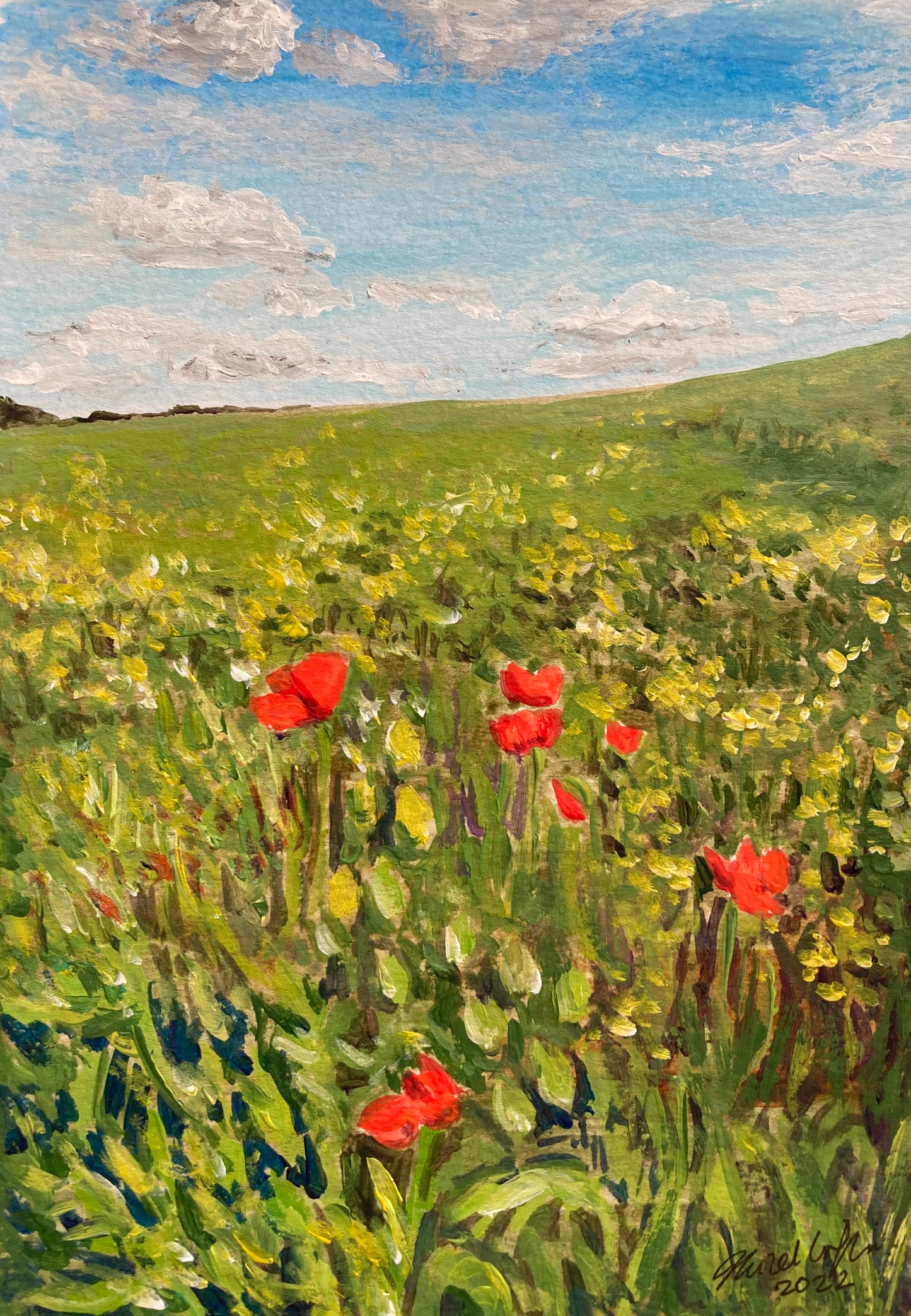 Poppies in the Breeze