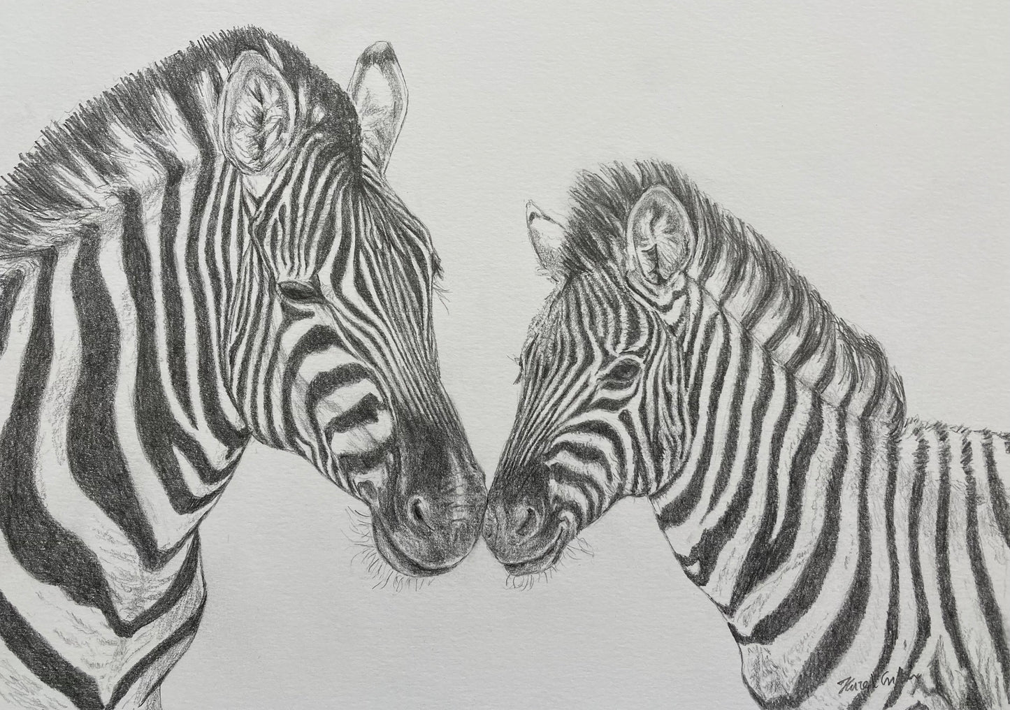 Stripe by Stripe