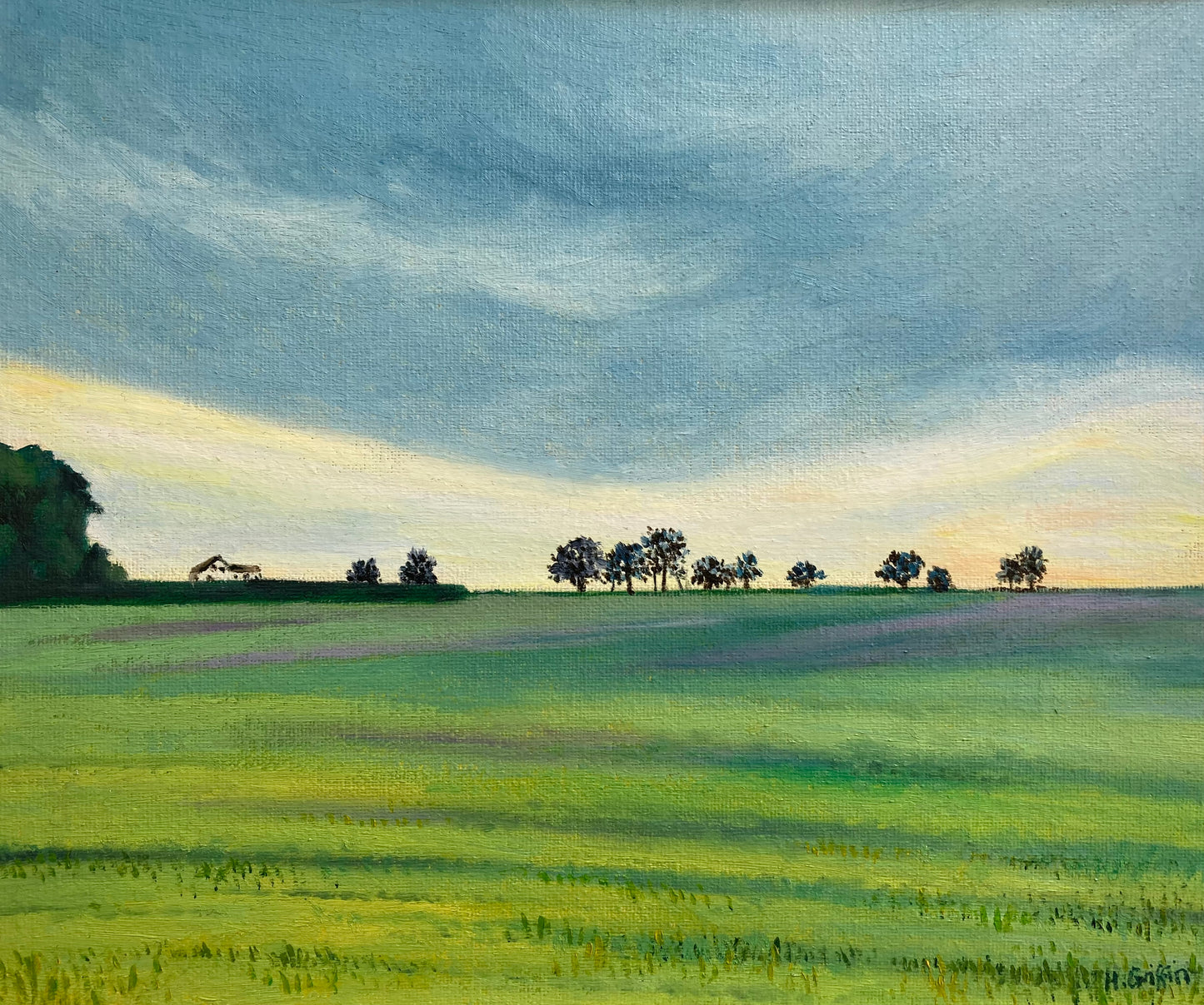 Evening Light