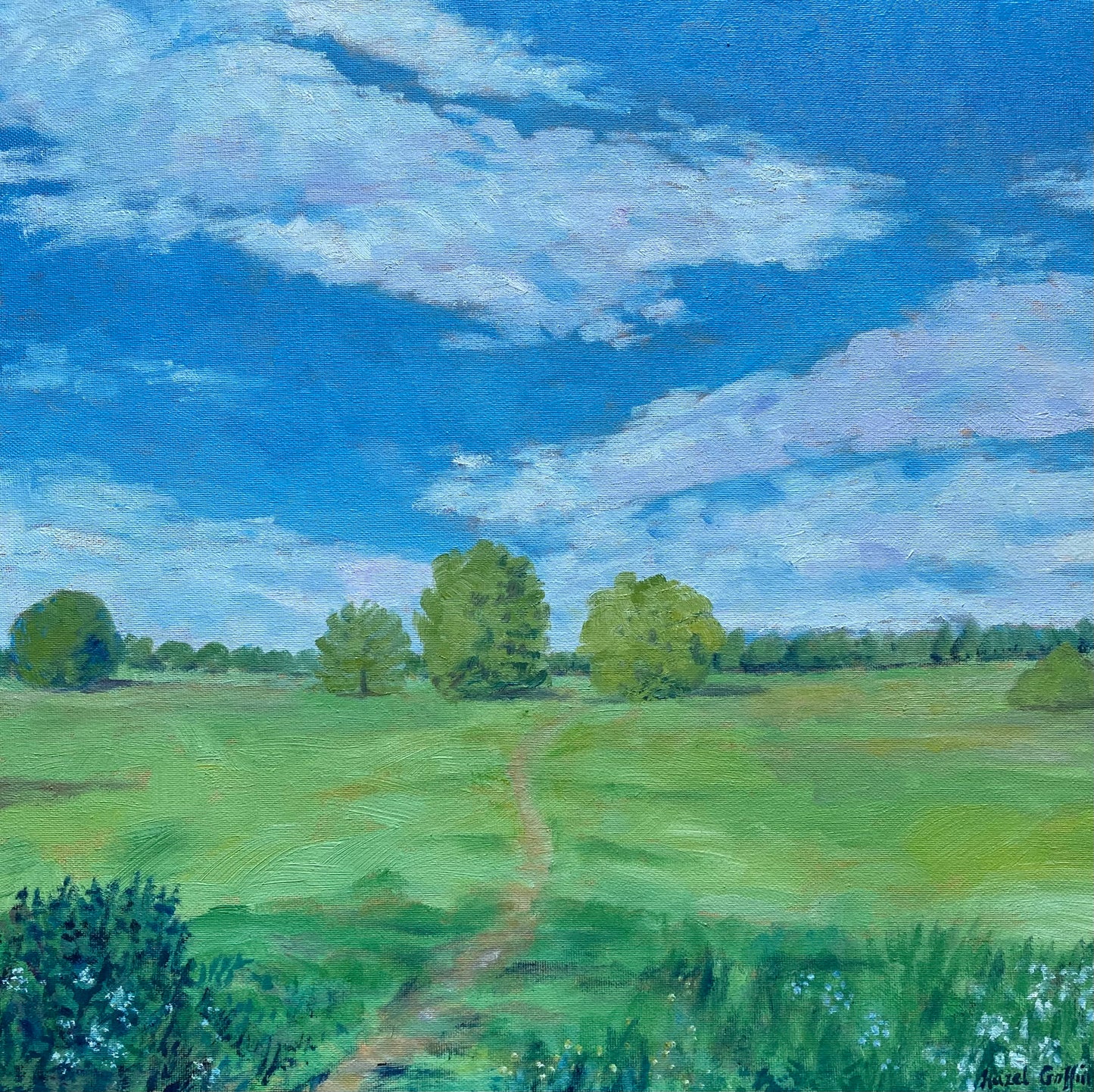 Beneath the Open Sky