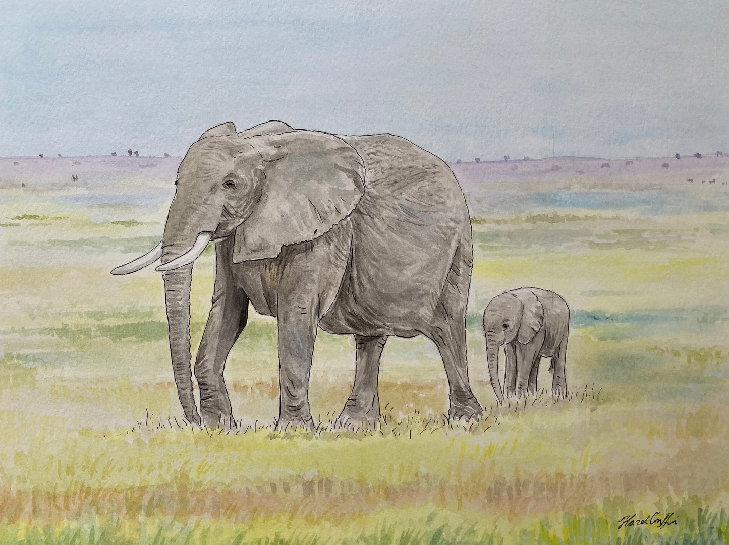 A Gentle Journey
