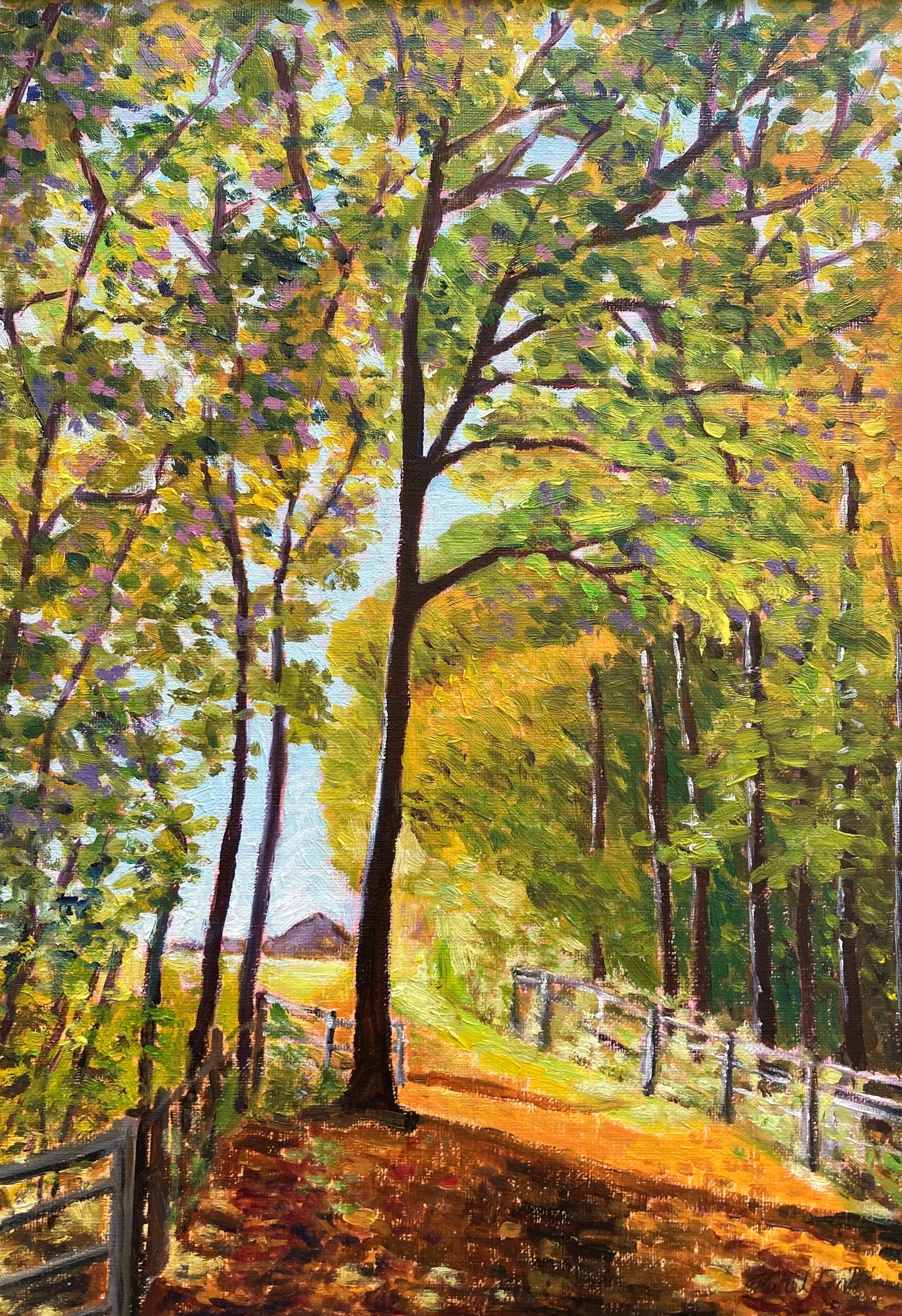 Autumn Colours
