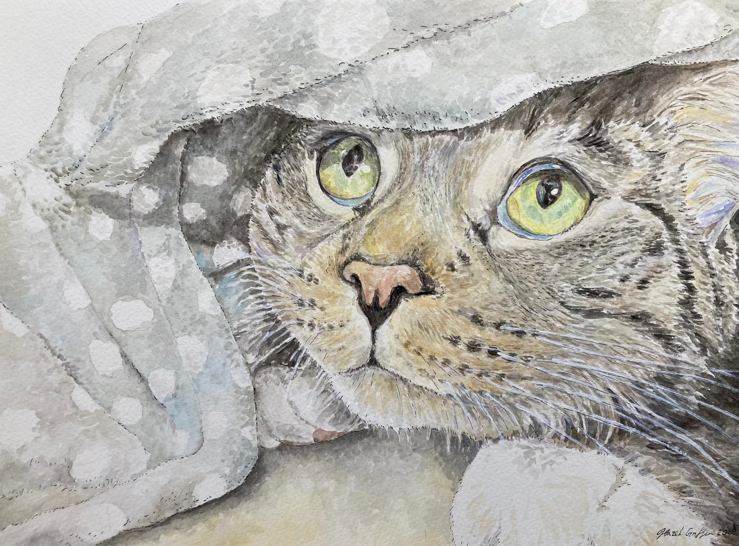 Cozy Eyes