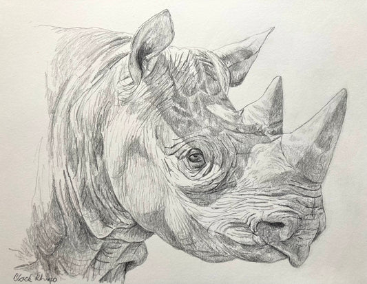 Charcoal Rhino Chronicle