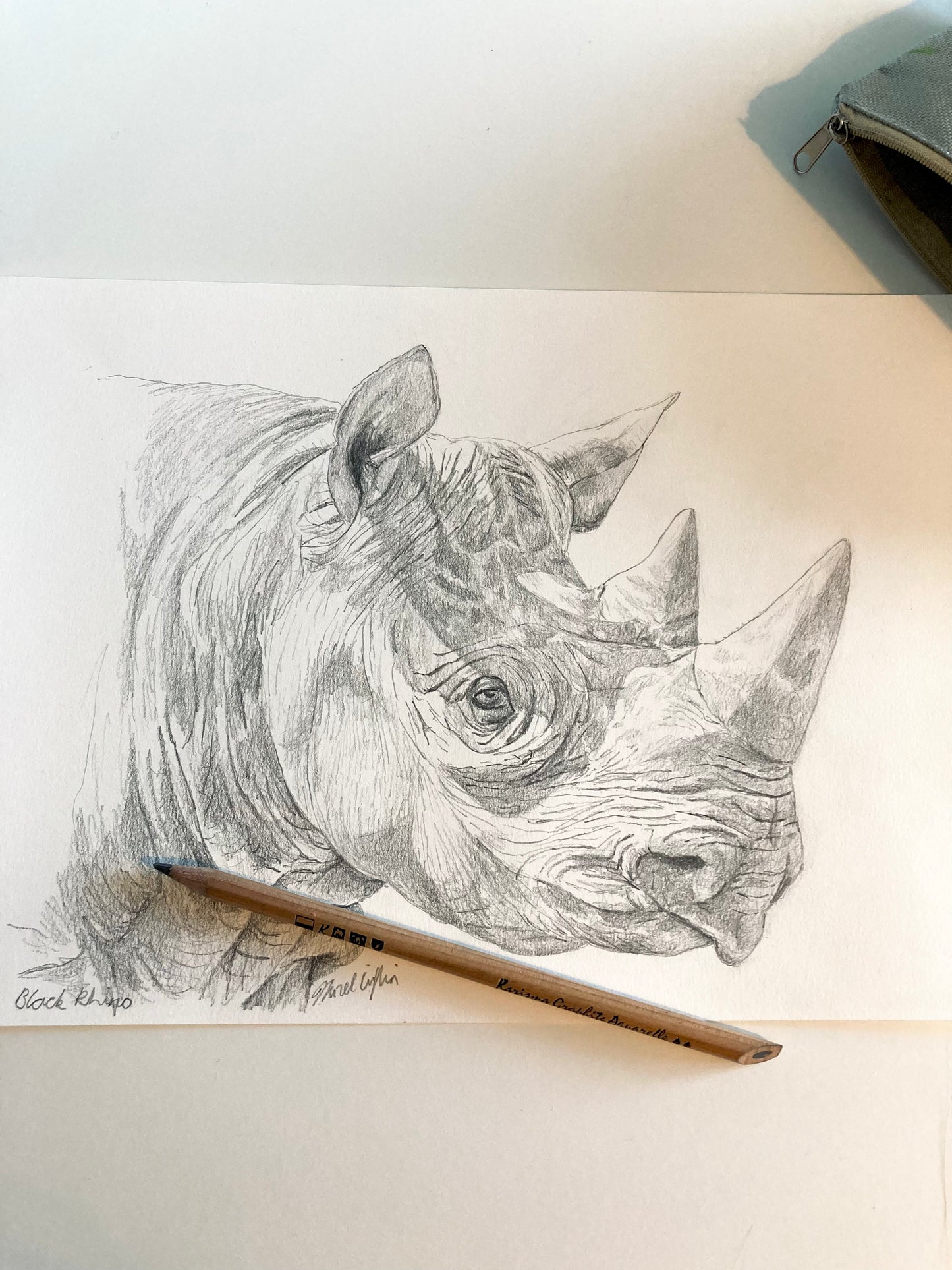 Charcoal Rhino Chronicle