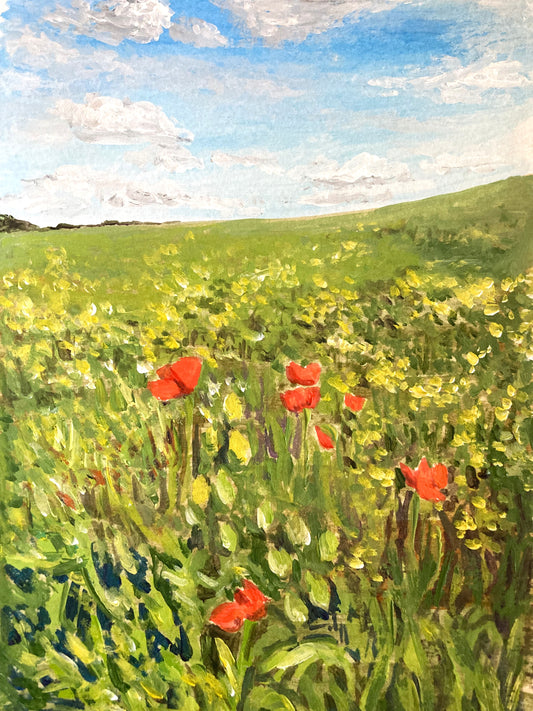 Poppies in the Breeze